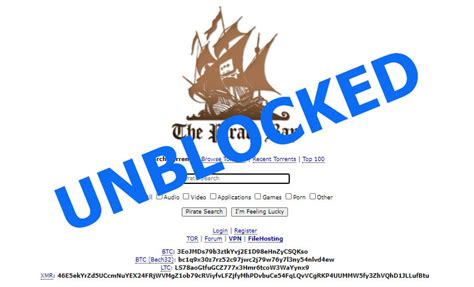 pirate bay unblock|pirate bay xyz unblocker.